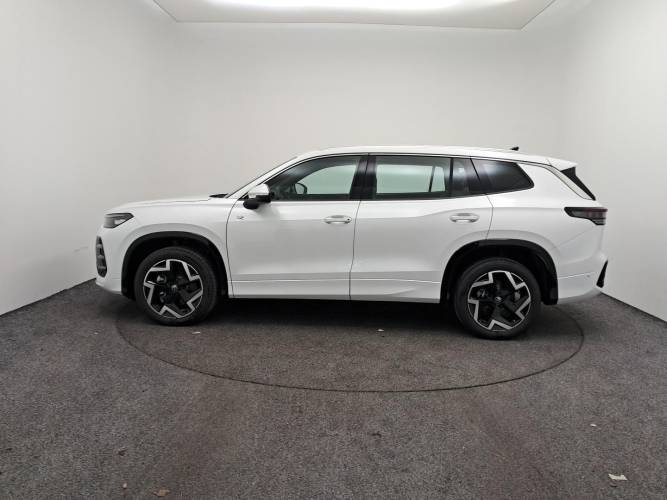 Tayron 2.0 TDI 150ch DSG7 5pl