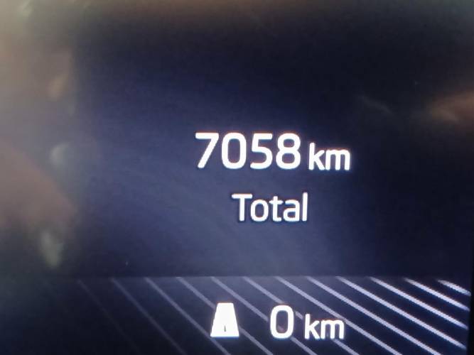 Fabia 1.0 TSI 116 ch EVO 2 DSG7