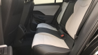T-Roc 1.5 eTSI EVO2 Hybrid 150 ch DSG7