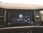 Kodiaq 2.0 TDI 150 ch SCR DSG7 5pl