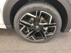 Taigo 1.0 TSI 116 DSG7
