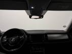 Kodiaq 2.0 TDI 150 SCR DSG7 5pl