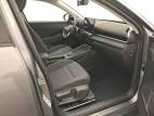 T-Roc 1.5 eTSI EVO2 Hybrid 116 ch DSG7