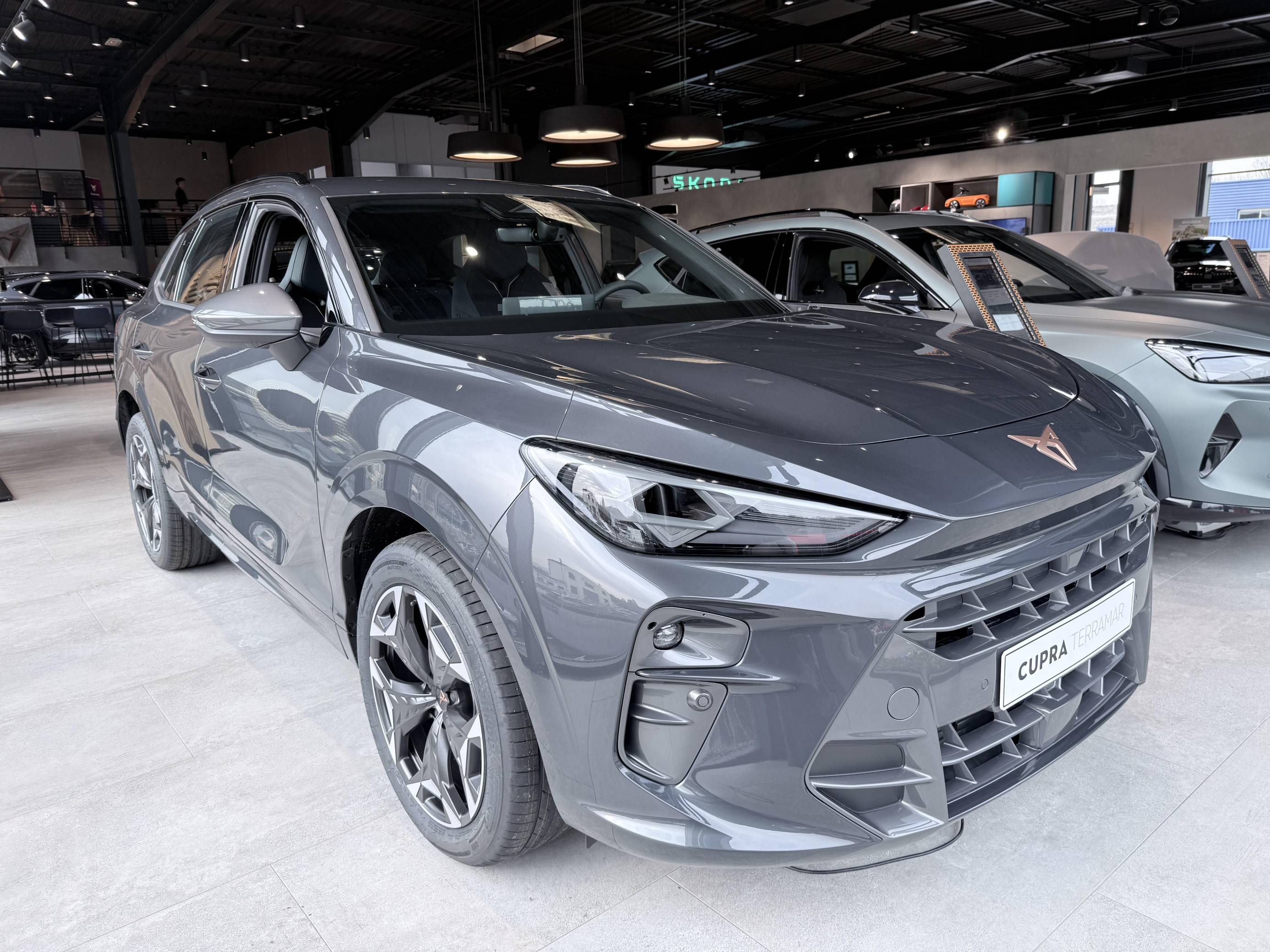 Terramar 1.5 eTSI Hybrid 150 ch DSG7