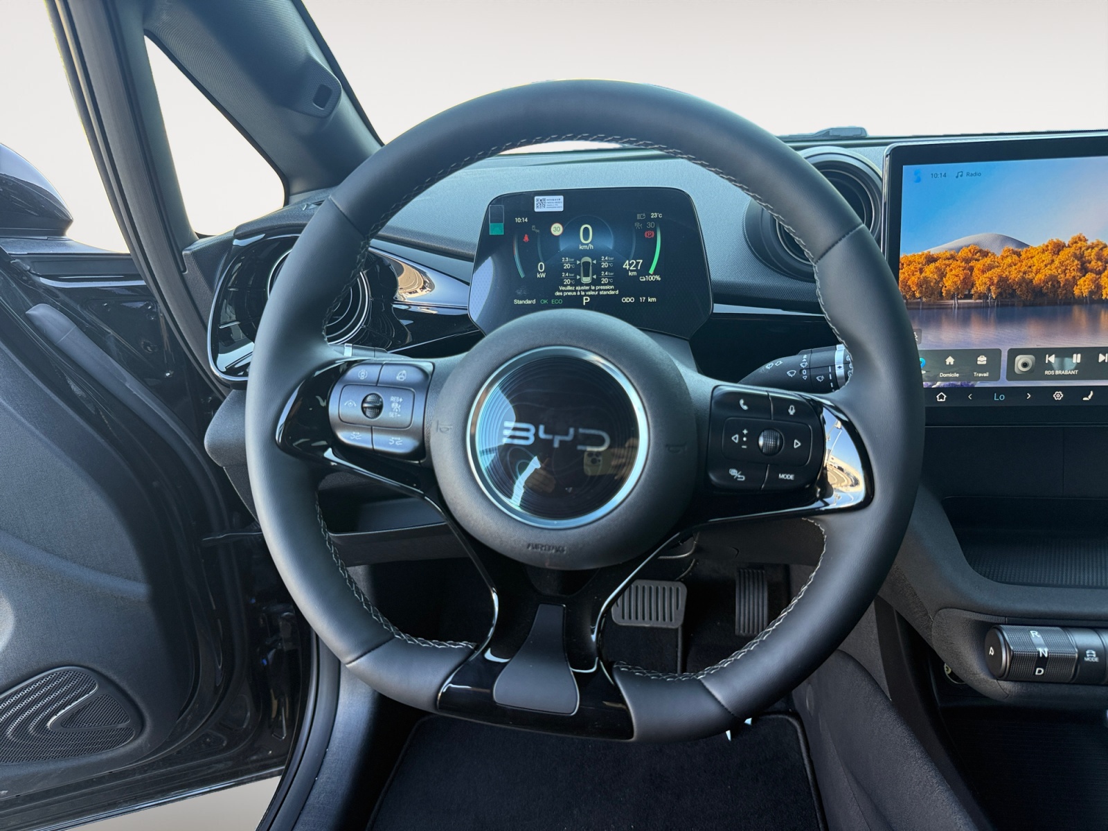 Dolphin 60,4 kWh 204 ch