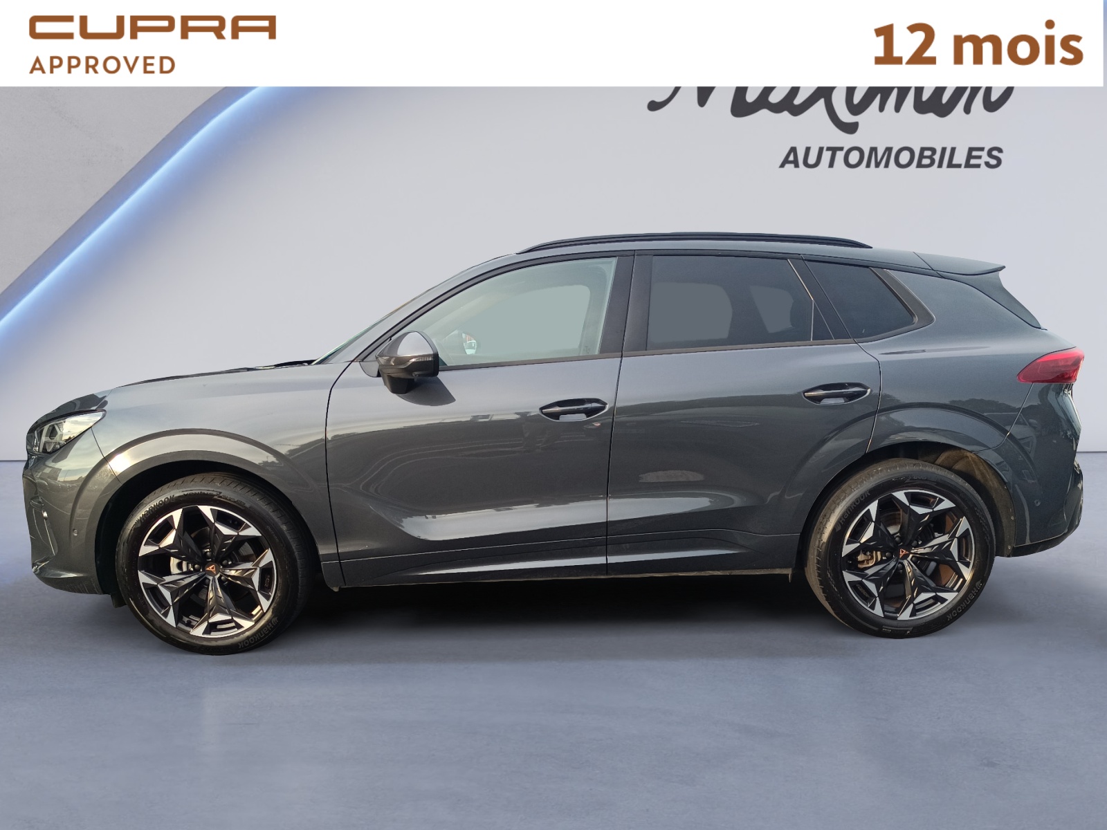 CUPRA TERRAMAR