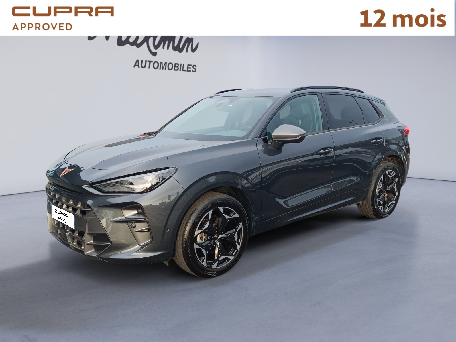 CUPRA TERRAMAR