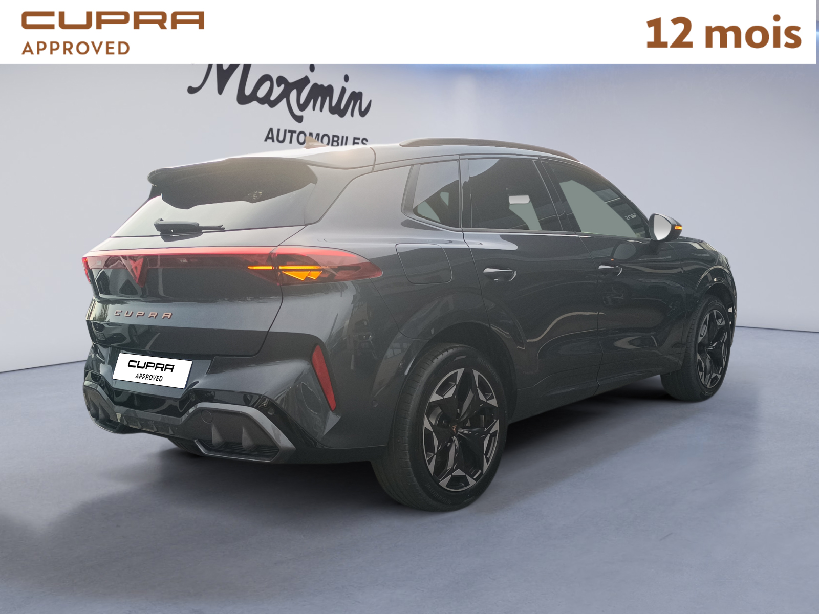 CUPRA TERRAMAR