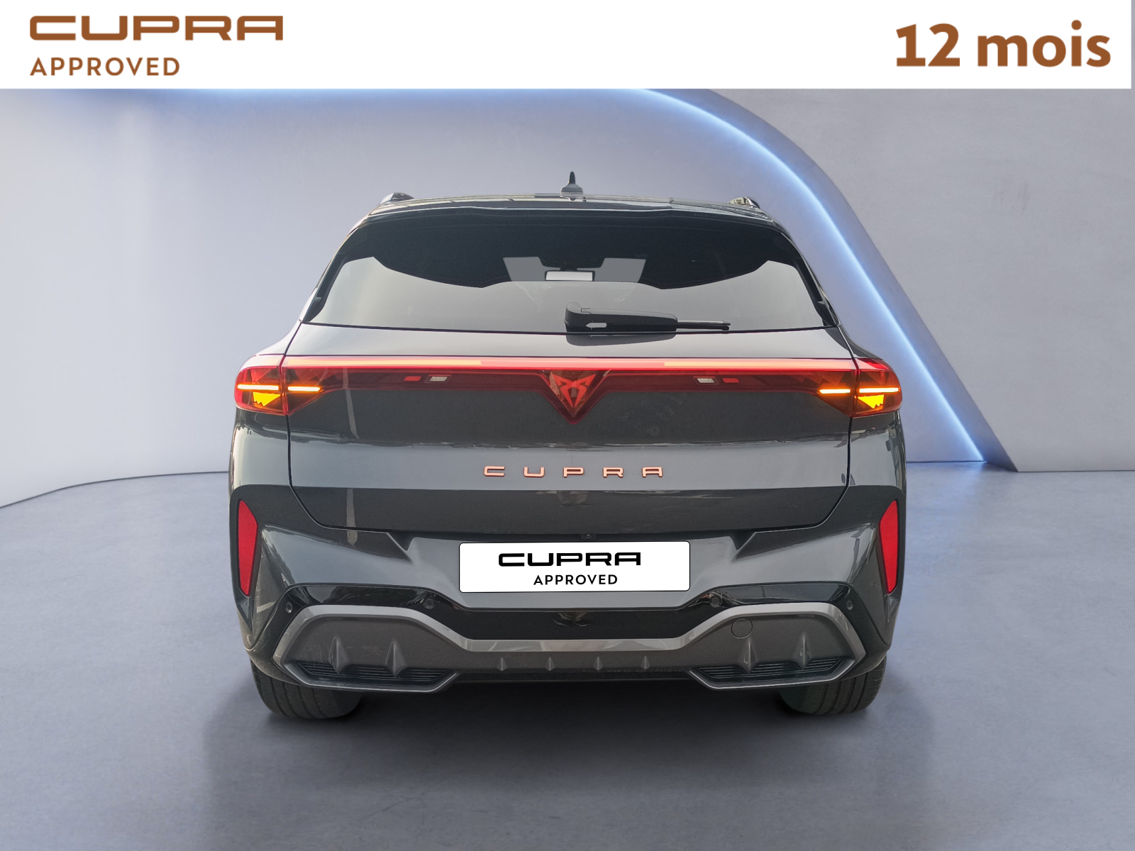 CUPRA TERRAMAR