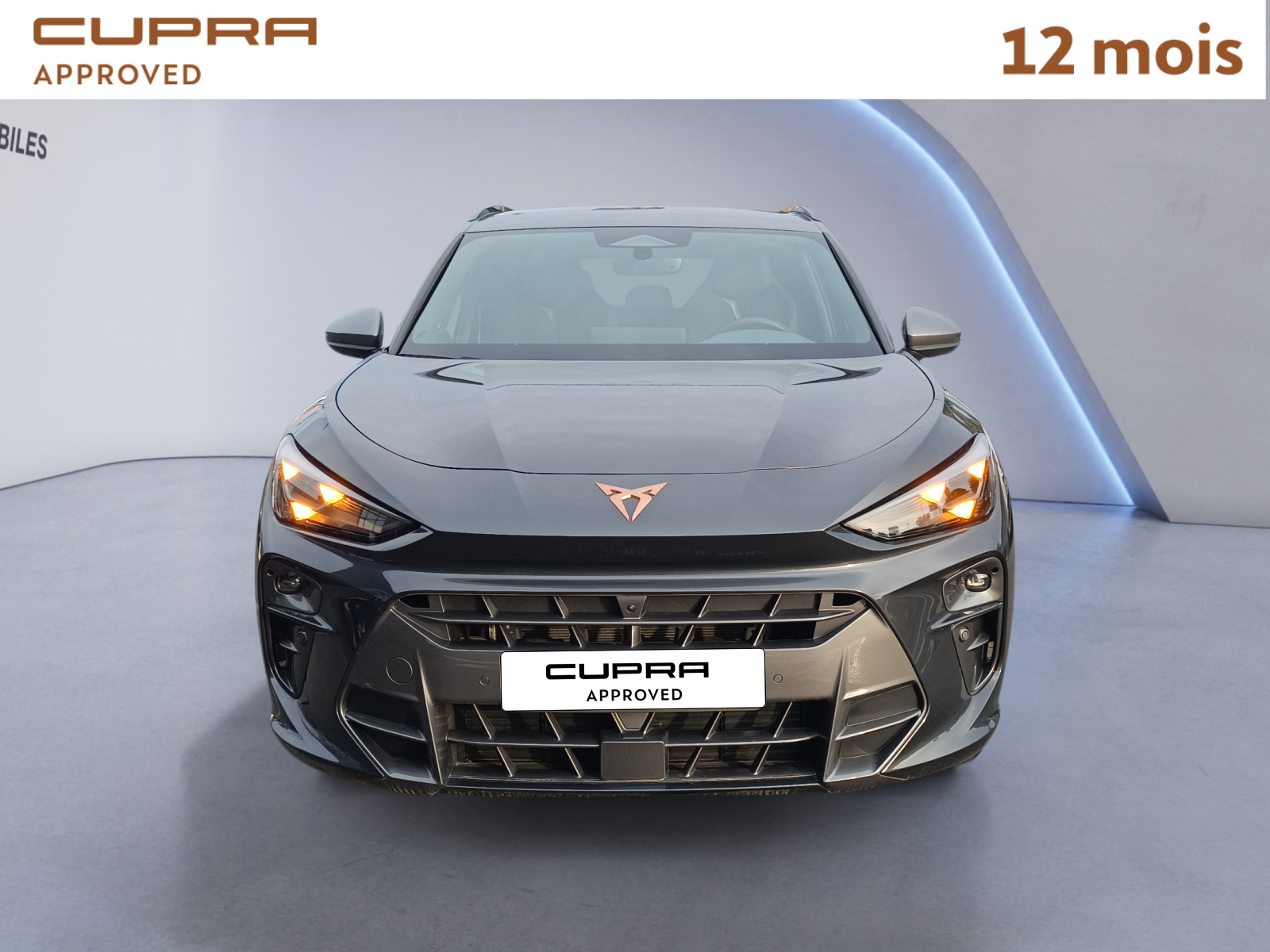 CUPRA TERRAMAR