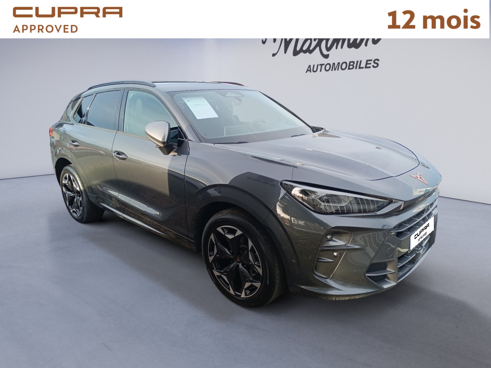 CUPRA TERRAMAR