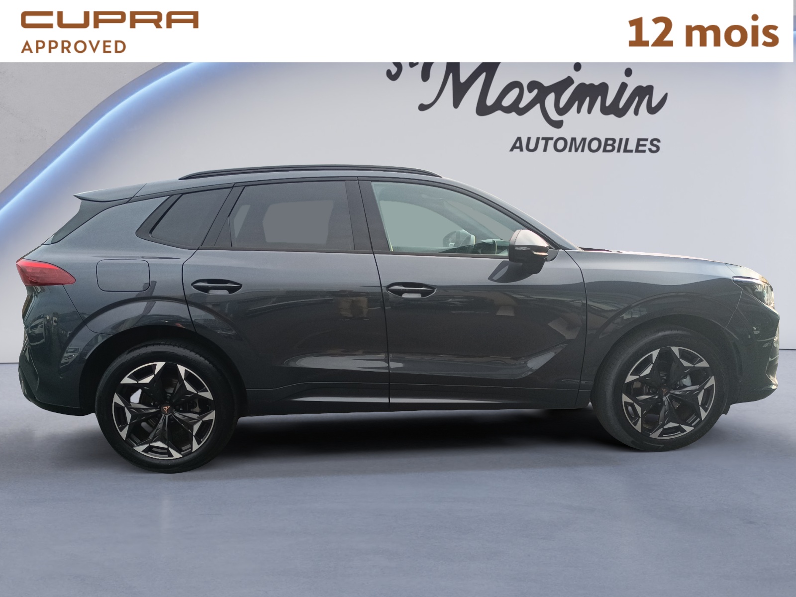 CUPRA TERRAMAR