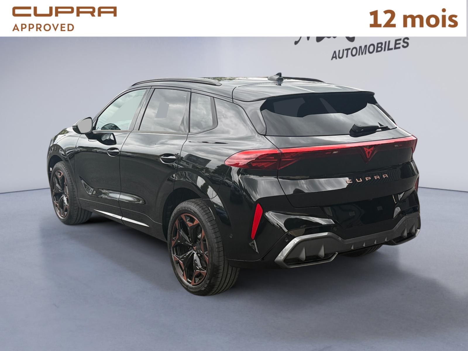 CUPRA TERRAMAR