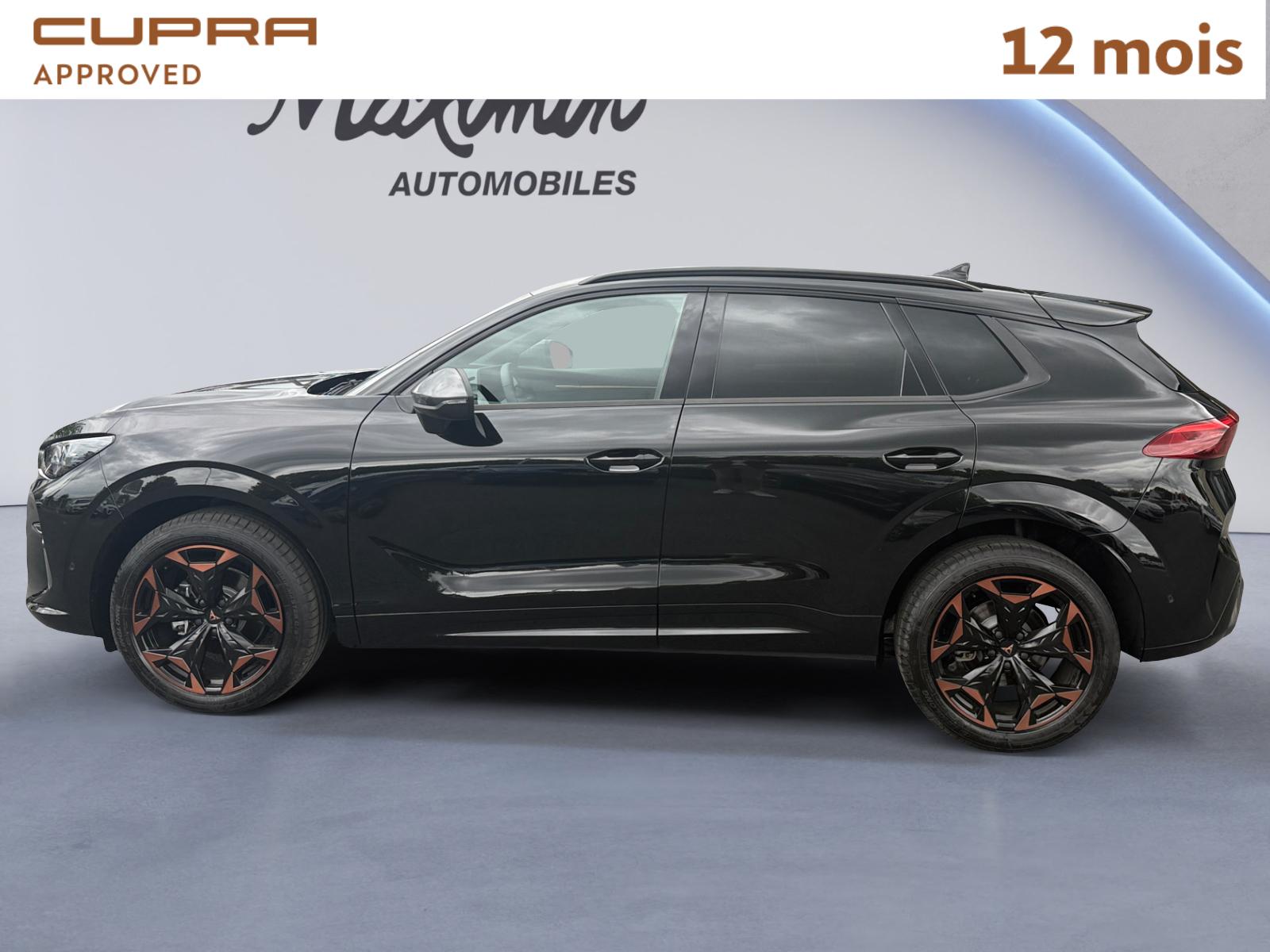CUPRA TERRAMAR