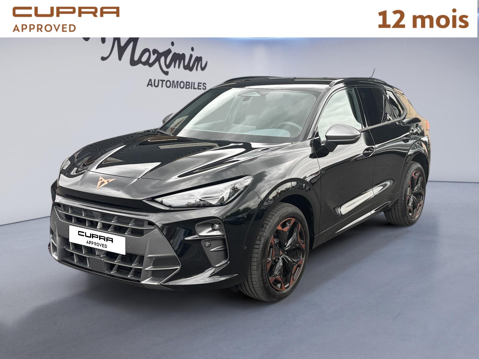 CUPRA TERRAMAR