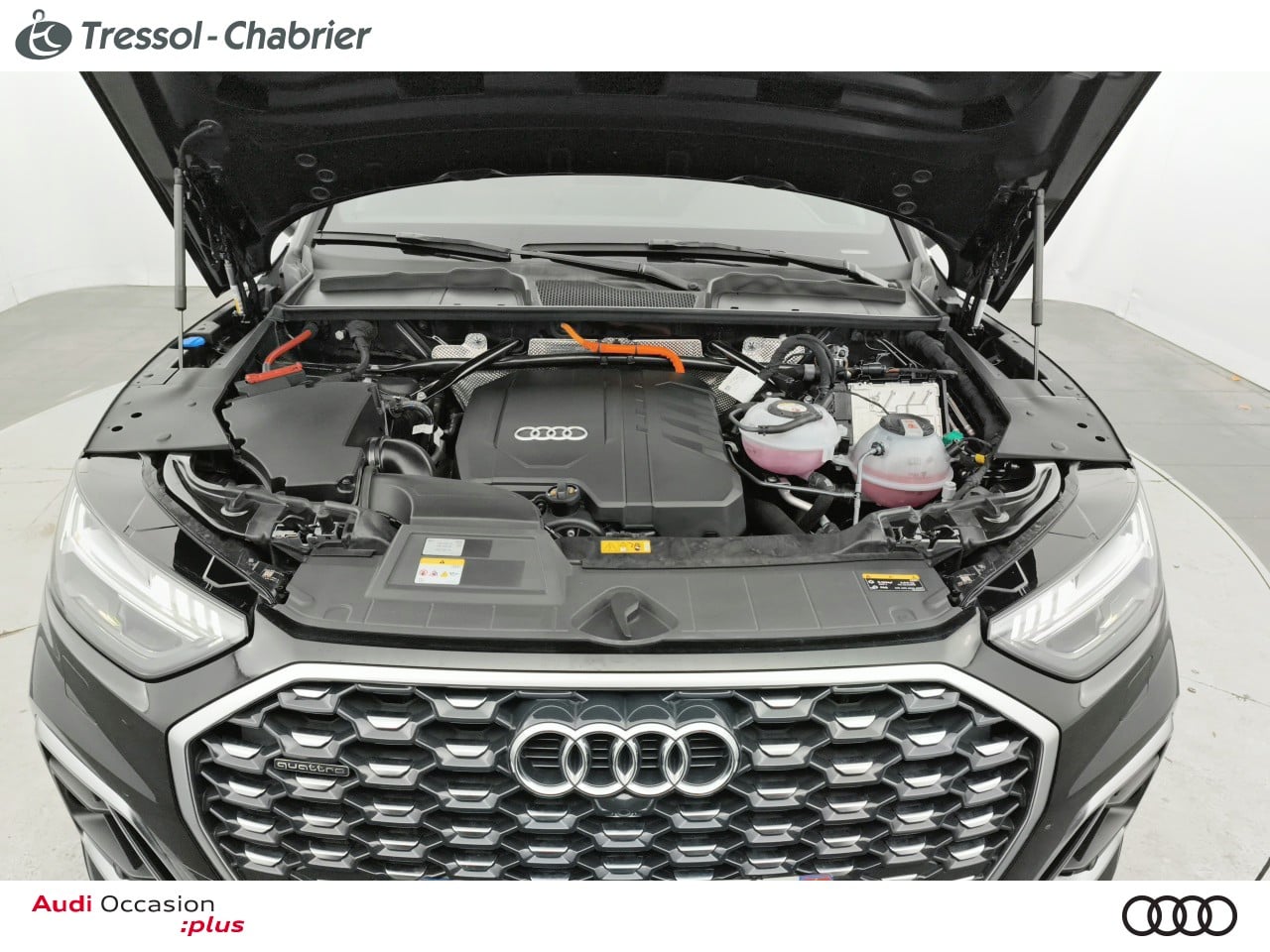 AUDI Q5+SPORTBACK