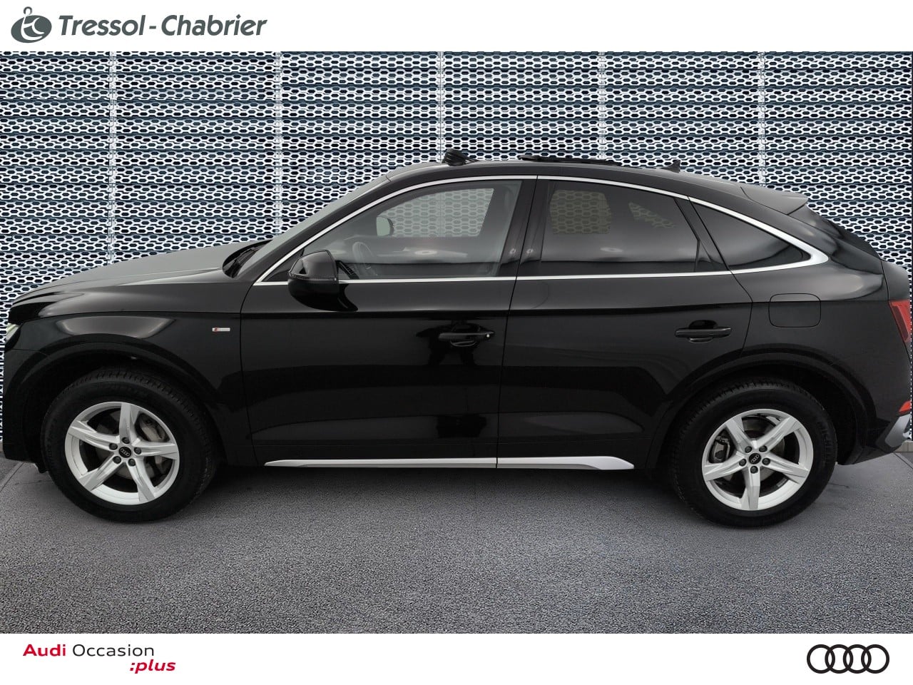 AUDI Q5+SPORTBACK PROFIL+GAUCHE
