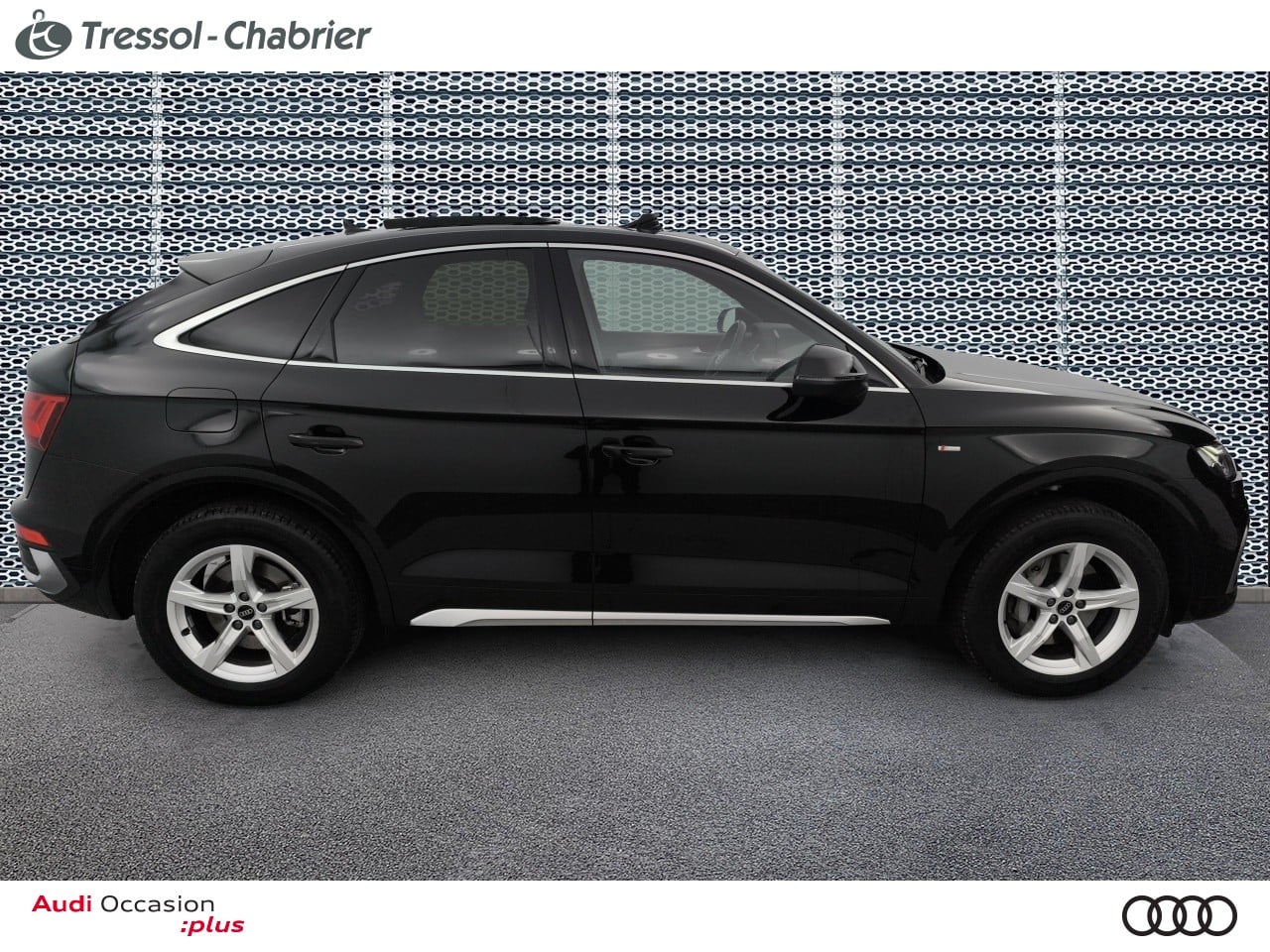 AUDI Q5+SPORTBACK PROFIL+DROIT