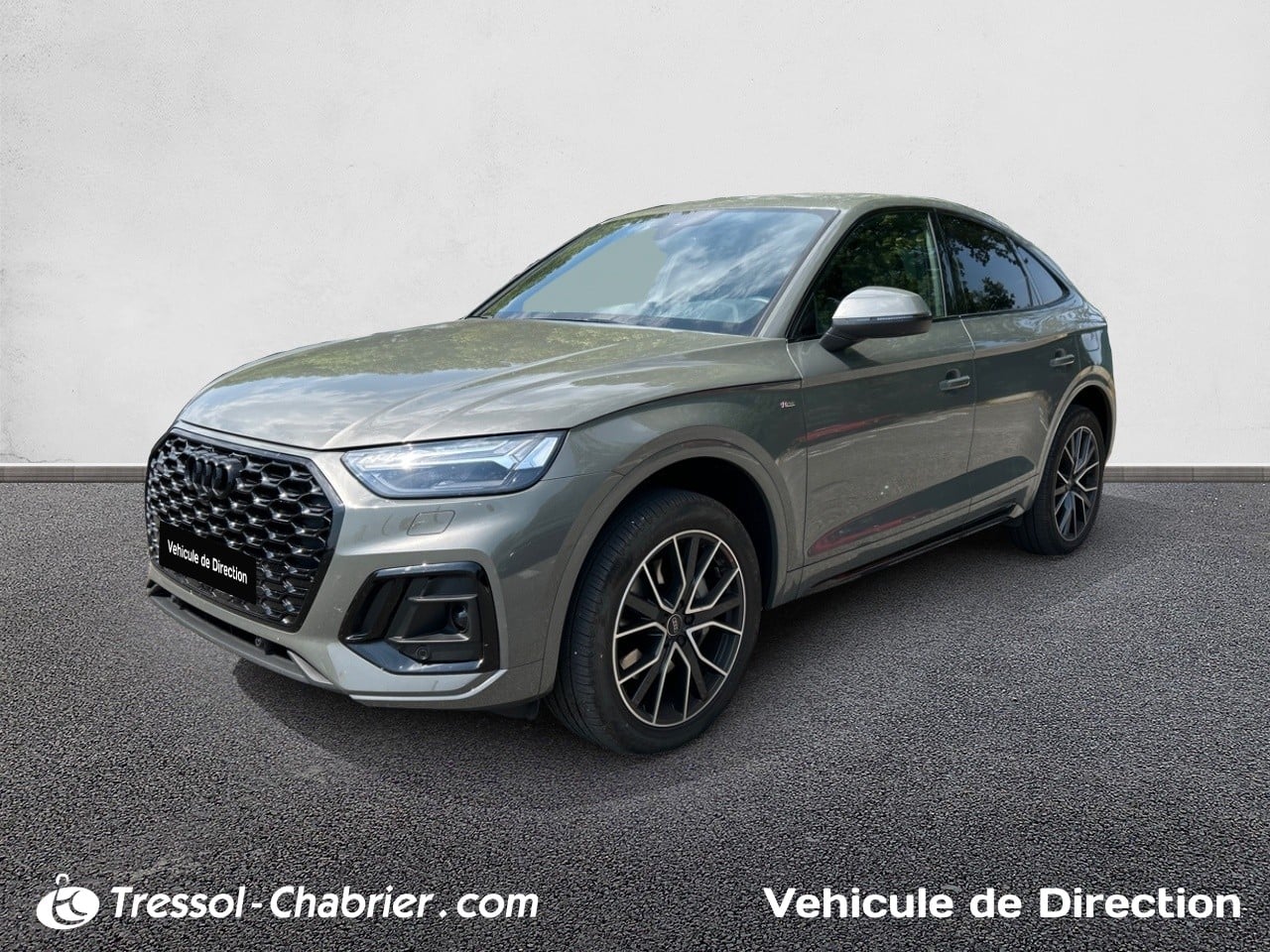 AUDI Q5 Sportback 55 TFSIe 367 S tronic 7 Quattro