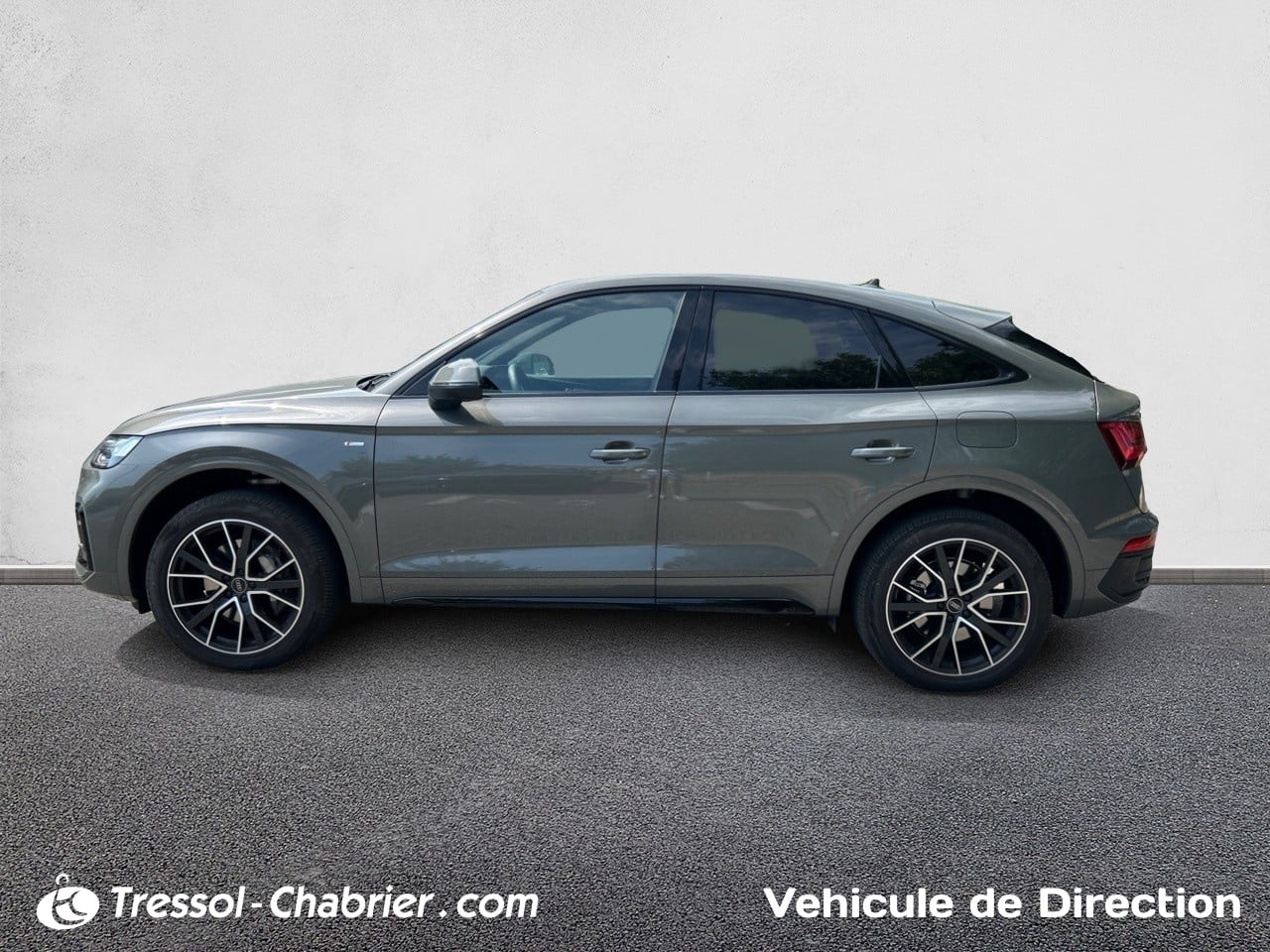 AUDI Q5+SPORTBACK PROFIL+GAUCHE
