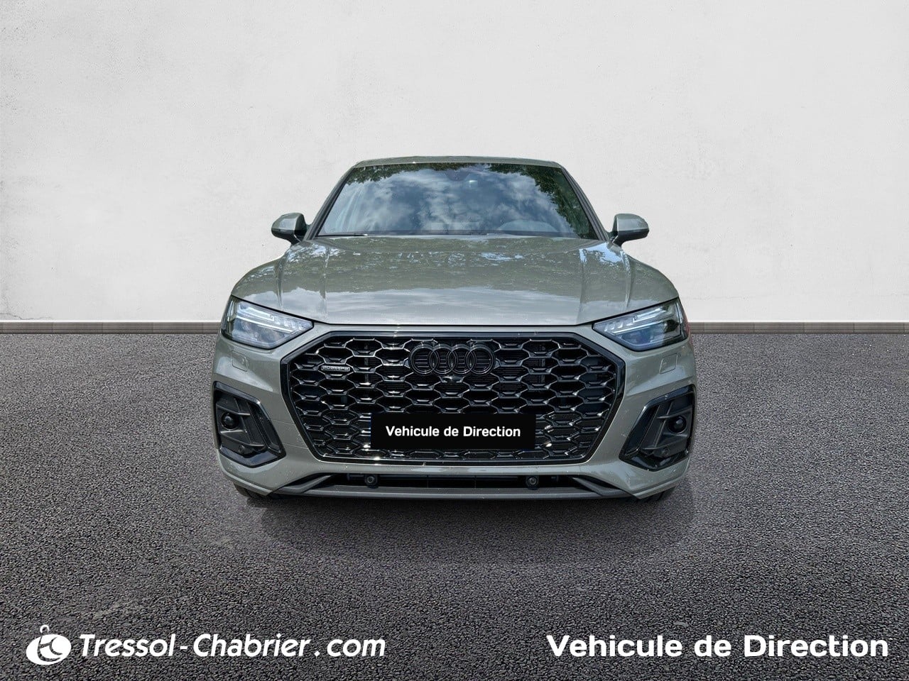 AUDI Q5+SPORTBACK
