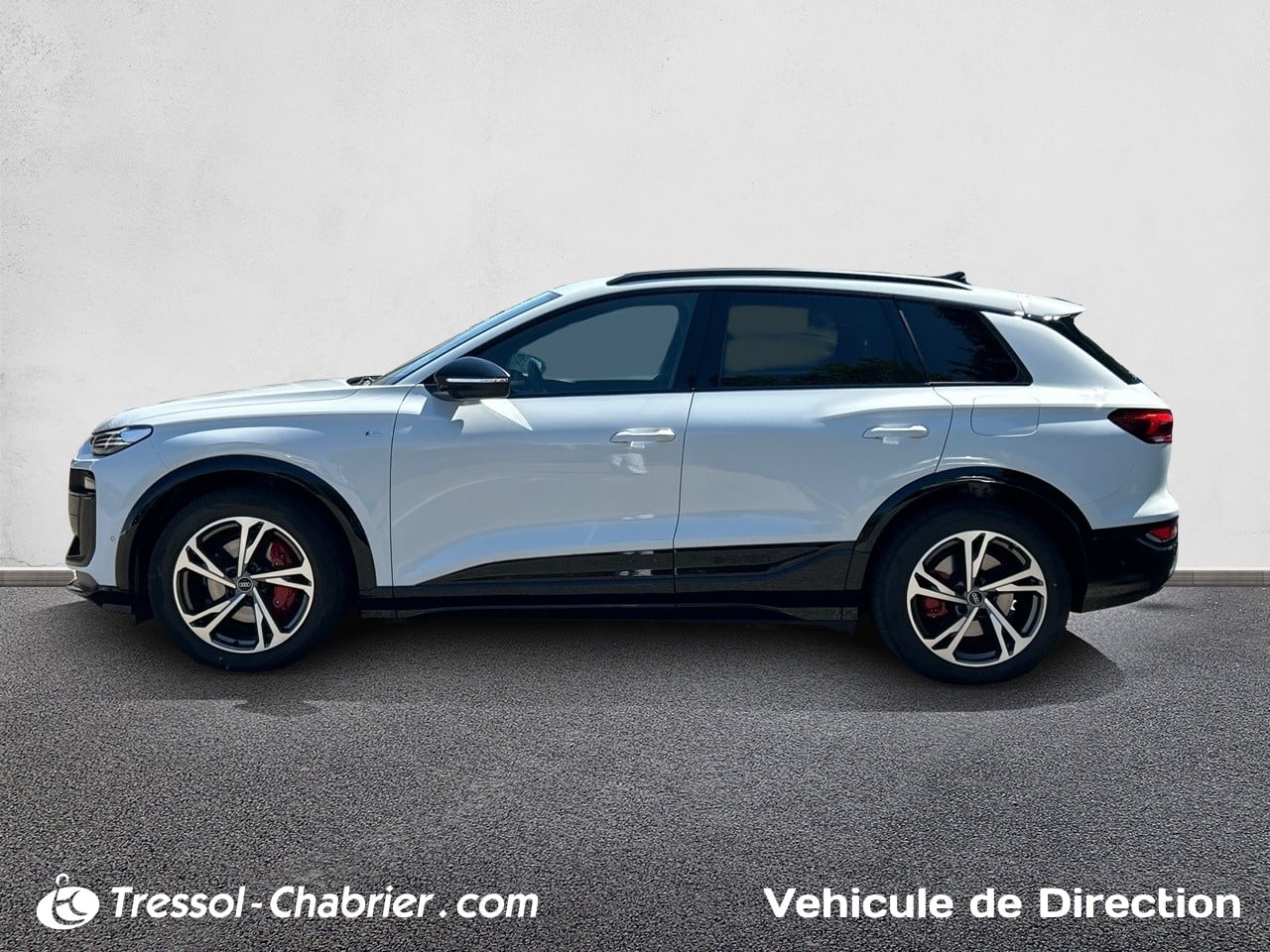 AUDI Q6+E TRON PROFIL+GAUCHE