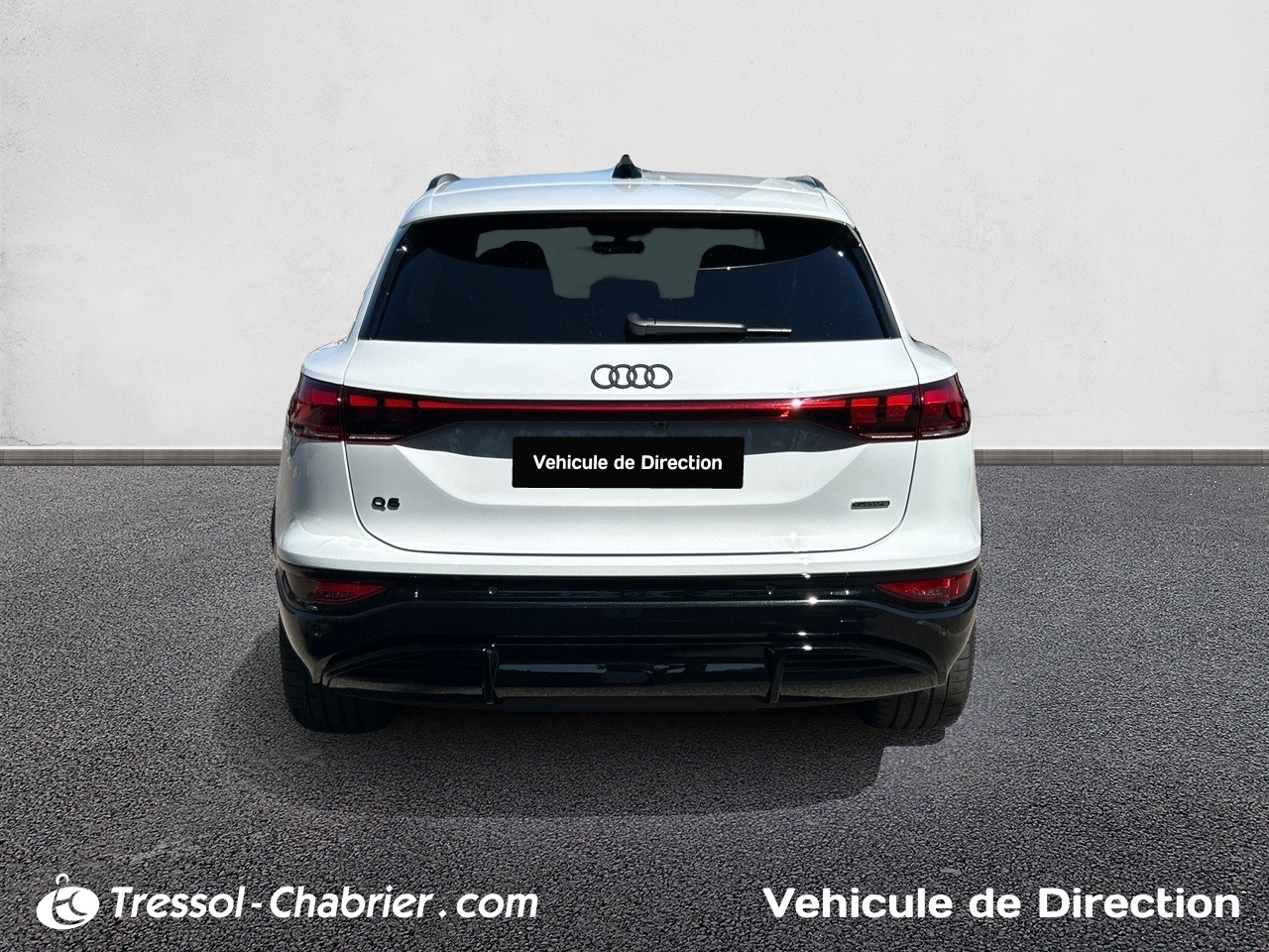 AUDI Q6+E TRON FACE+ARRIERE