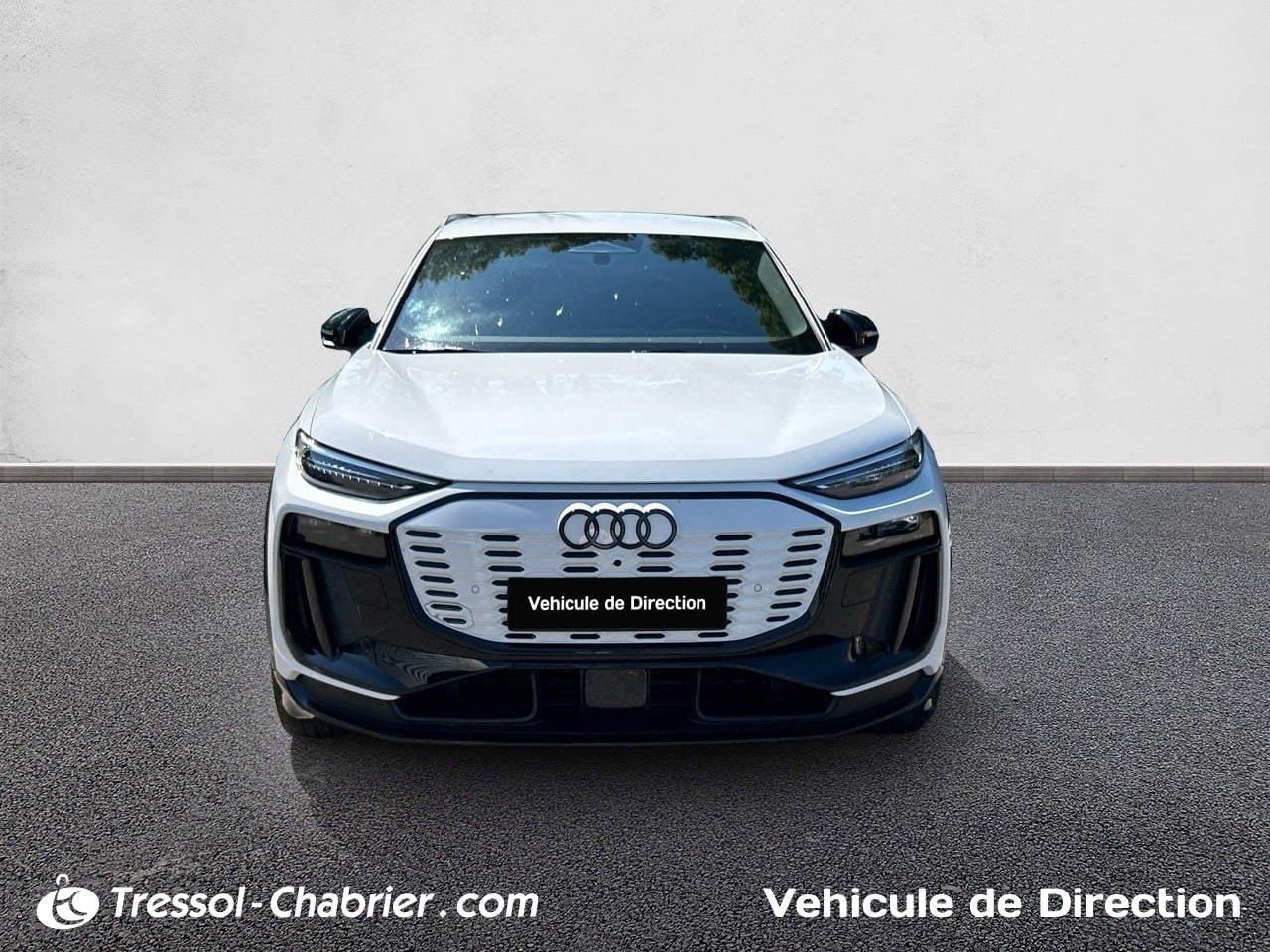 AUDI Q6+E TRON