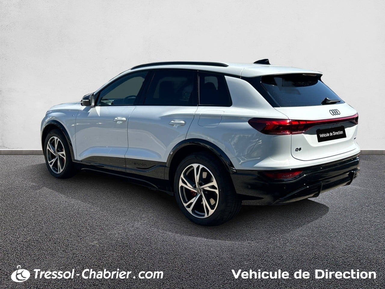 AUDI Q6+E TRON 34+ARRIERE+GAUCHE
