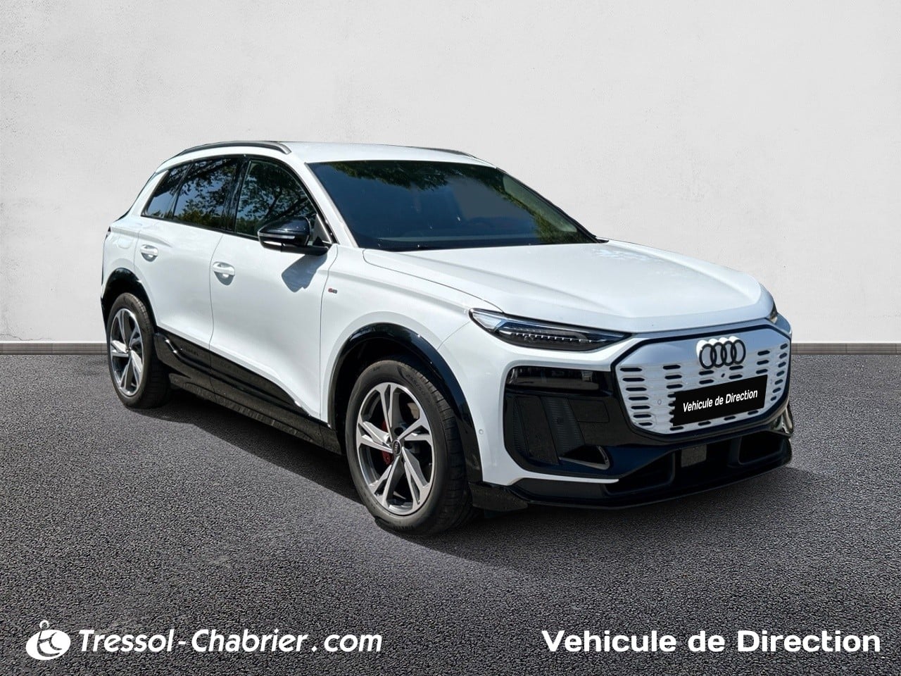 AUDI Q6+E TRON 34+AVANT+DROIT