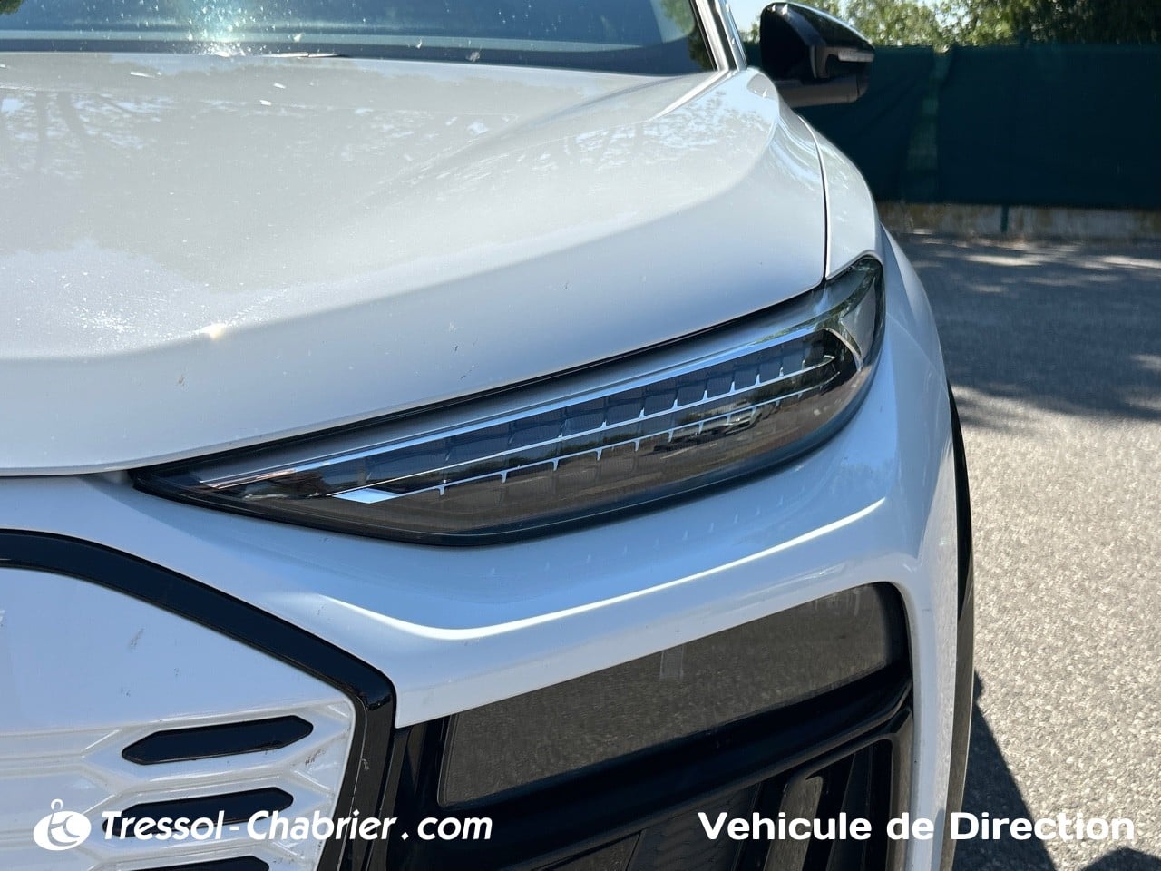 AUDI Q6+E TRON FACE+AVANT