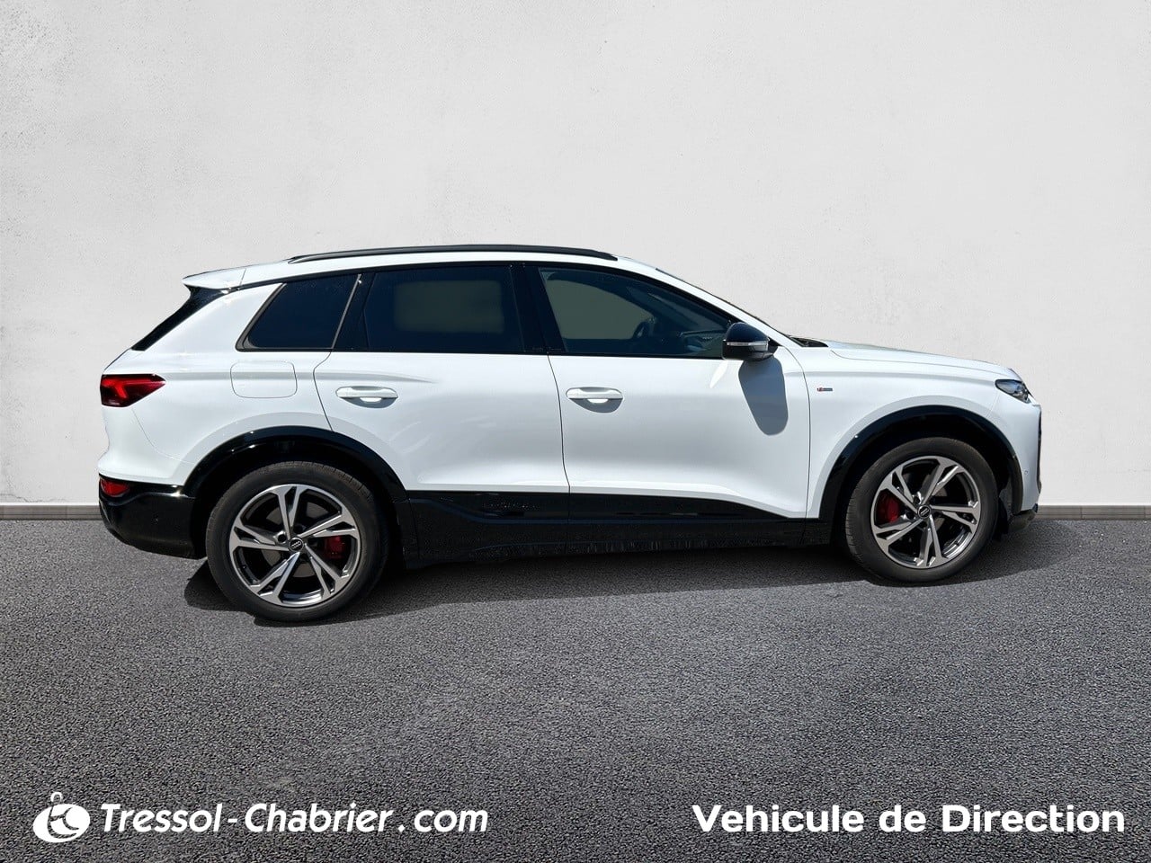 AUDI Q6+E TRON PROFIL+DROIT