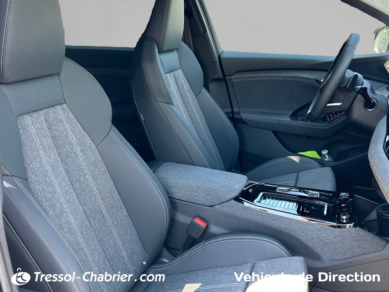 AUDI Q6+E TRON SIEGE+AVANT+PASSAGER