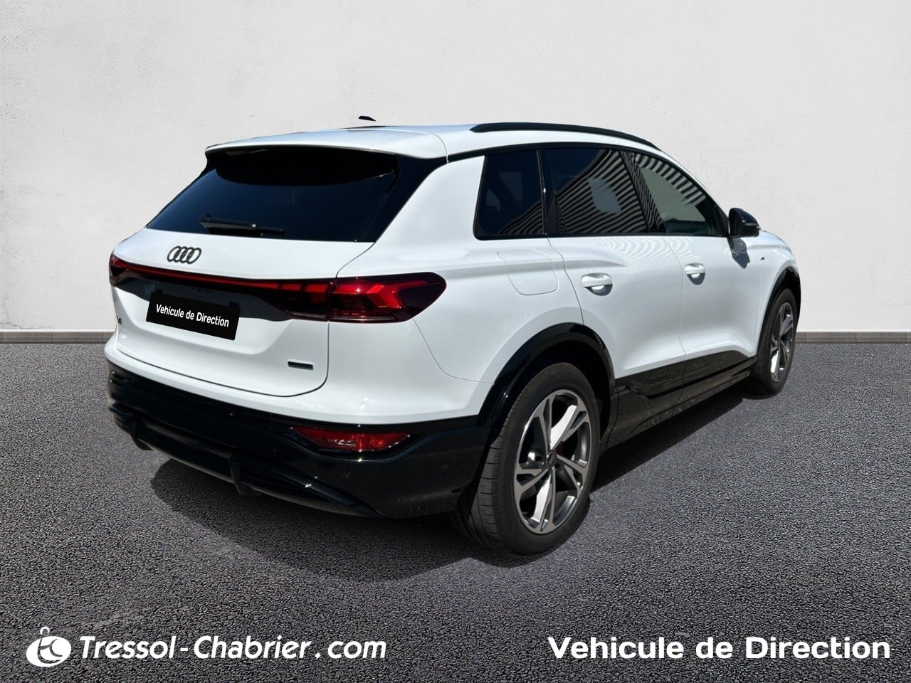 AUDI Q6+E TRON 34+ARRIERE+DROIT