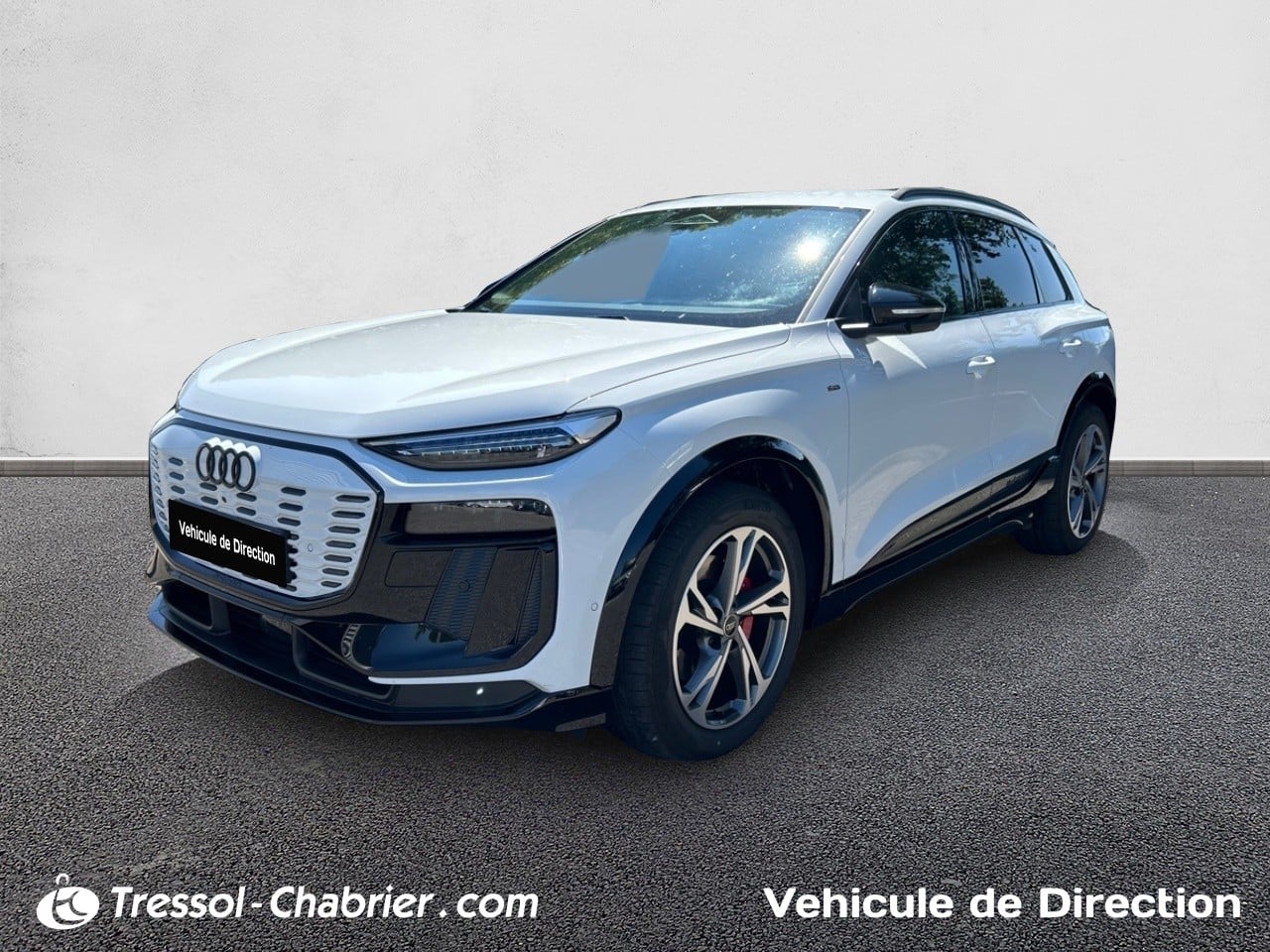 AUDI Q6 e-tron 387 ch 100 kWh quattro
