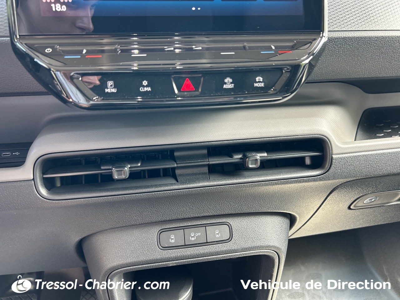 VOLKSWAGEN+UTILITAIRES ID+BUZZ+CARGO