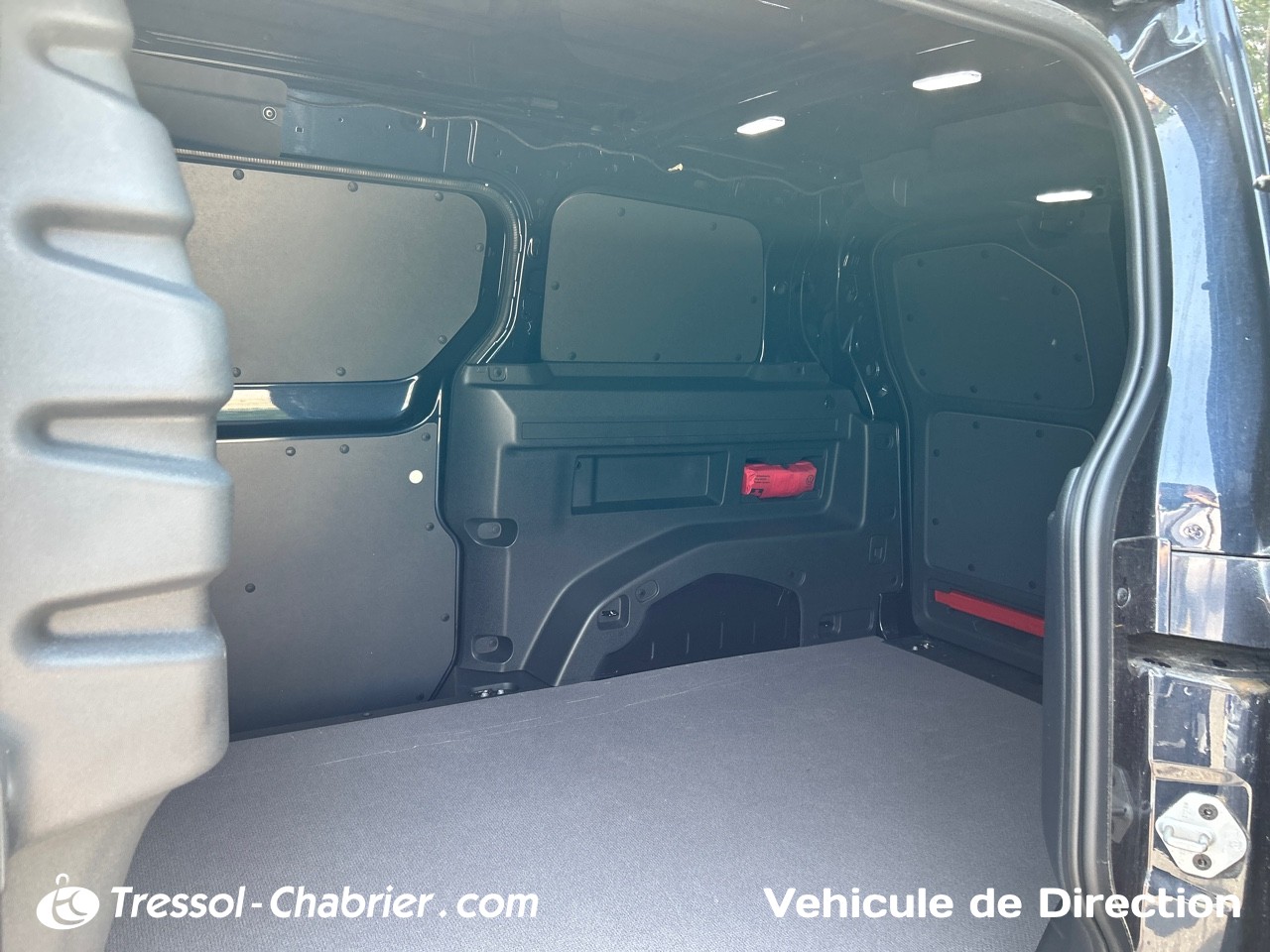 VOLKSWAGEN+UTILITAIRES ID+BUZZ+CARGO SIEGE+ARRIERE+GAUCHE