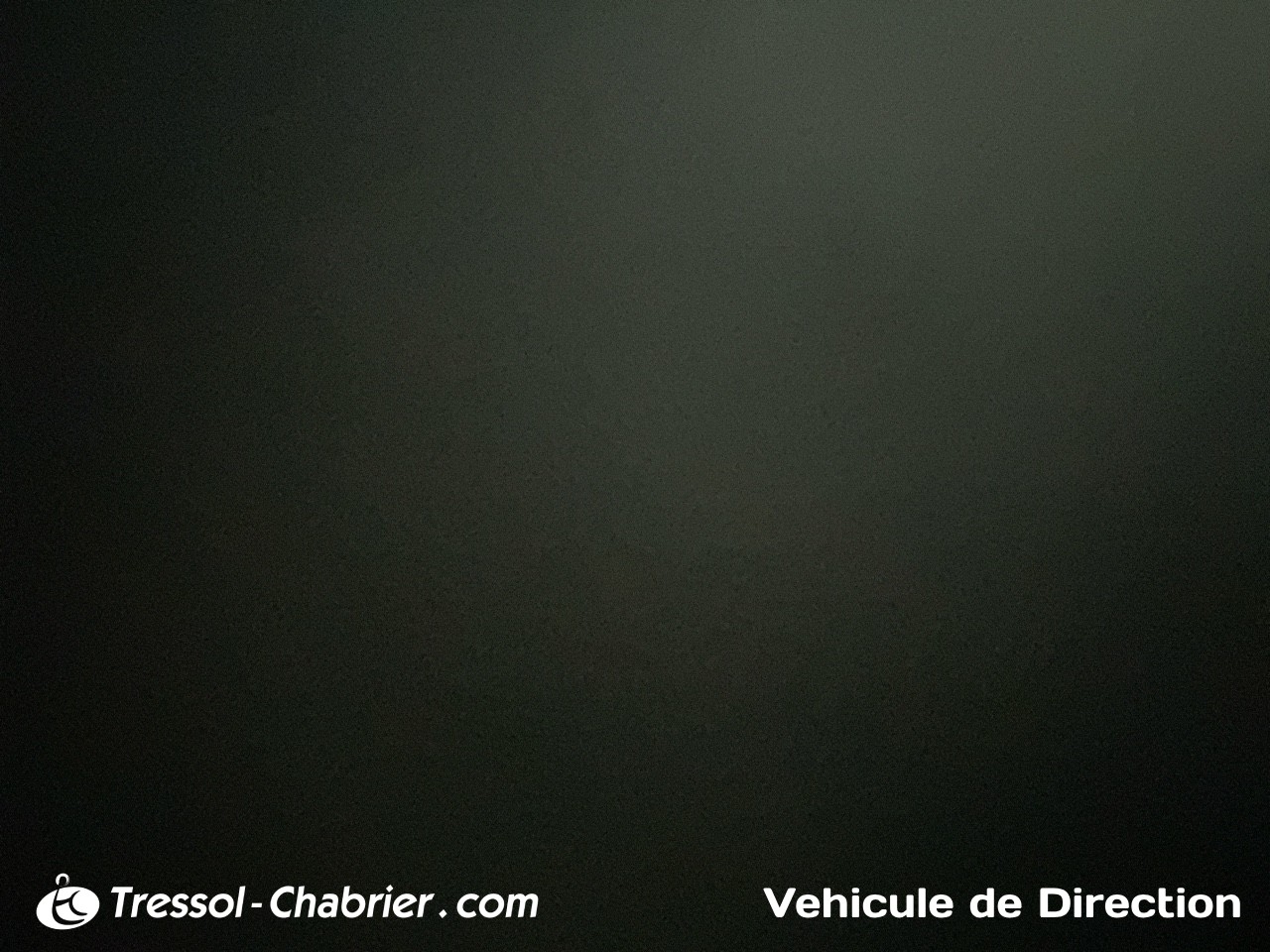 VOLKSWAGEN+UTILITAIRES ID+BUZZ+CARGO