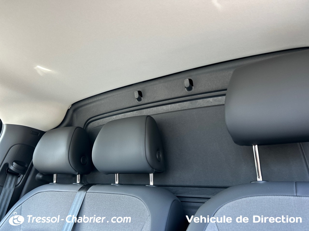 VOLKSWAGEN+UTILITAIRES ID+BUZZ+CARGO TOIT+OUVRANT++PANORAMIQUE