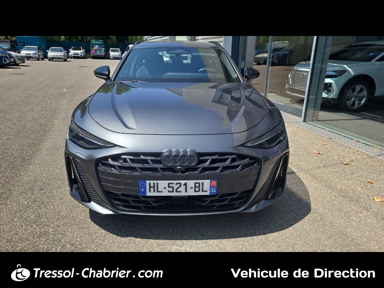 AUDI A6+AVANT+DIESEL
