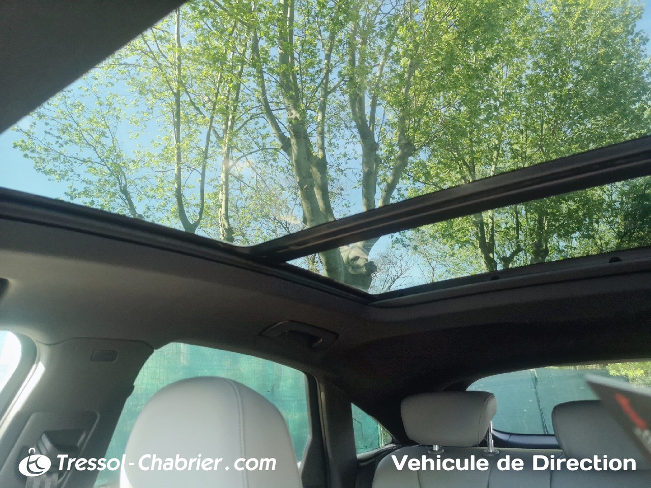 AUDI Q5+SPORTBACK