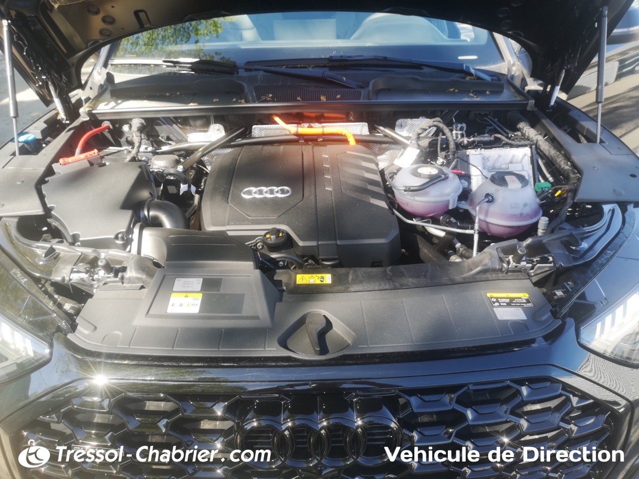 AUDI Q5+SPORTBACK