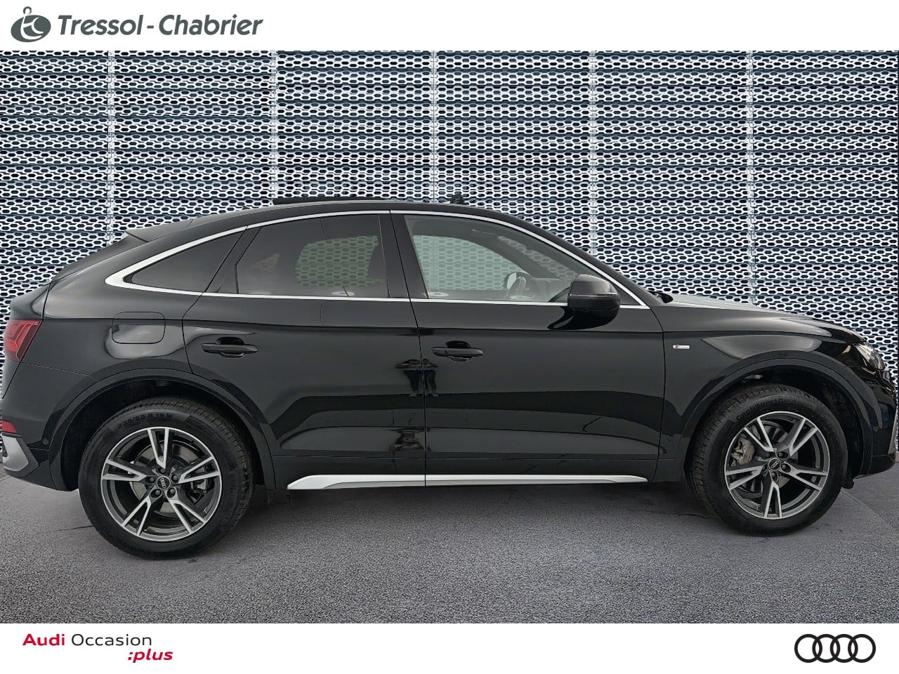 AUDI Q5+SPORTBACK PROFIL+DROIT
