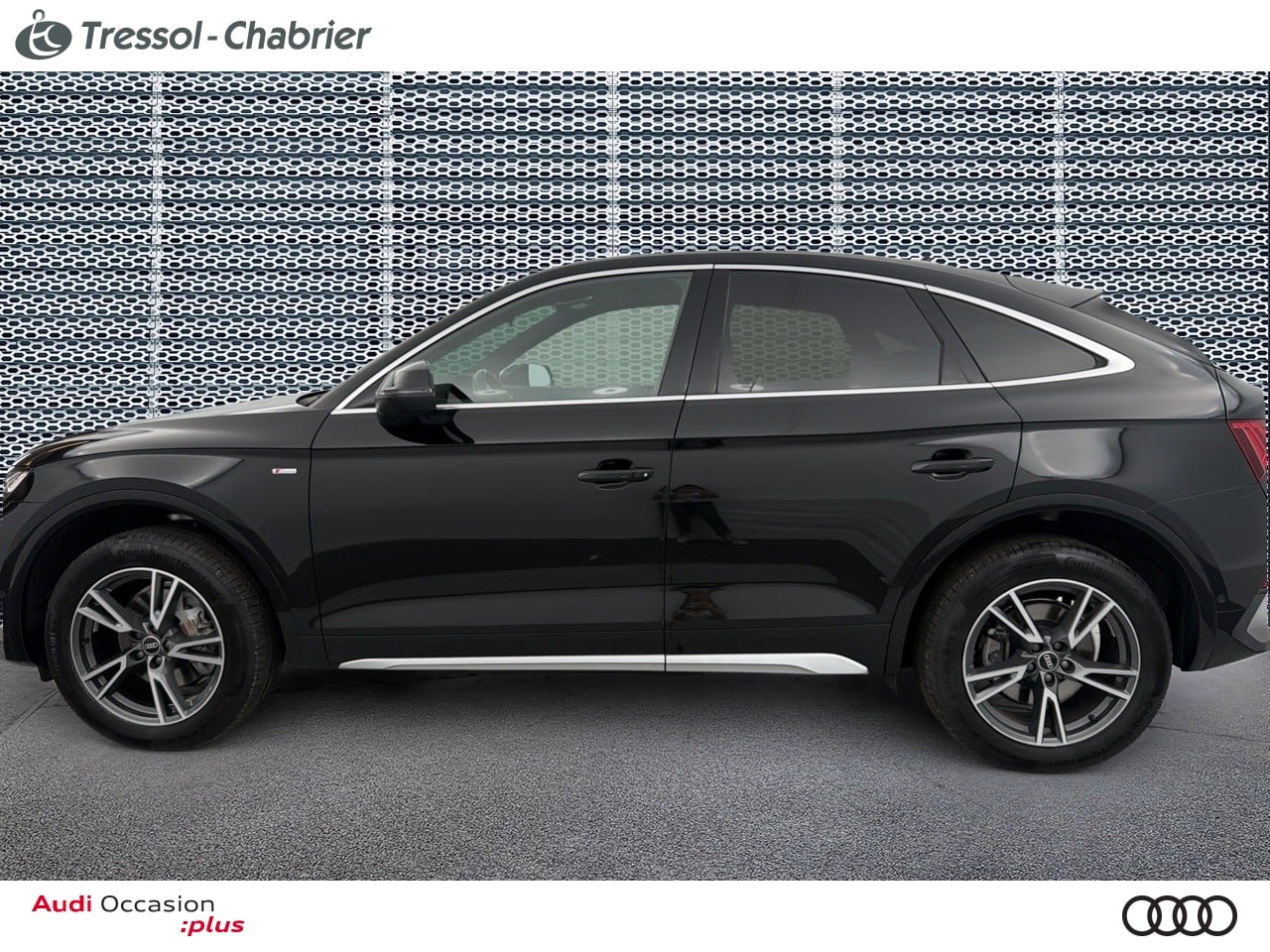 AUDI Q5+SPORTBACK PROFIL+GAUCHE