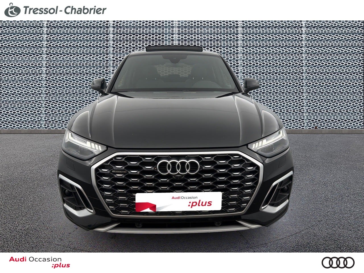 AUDI Q5+SPORTBACK