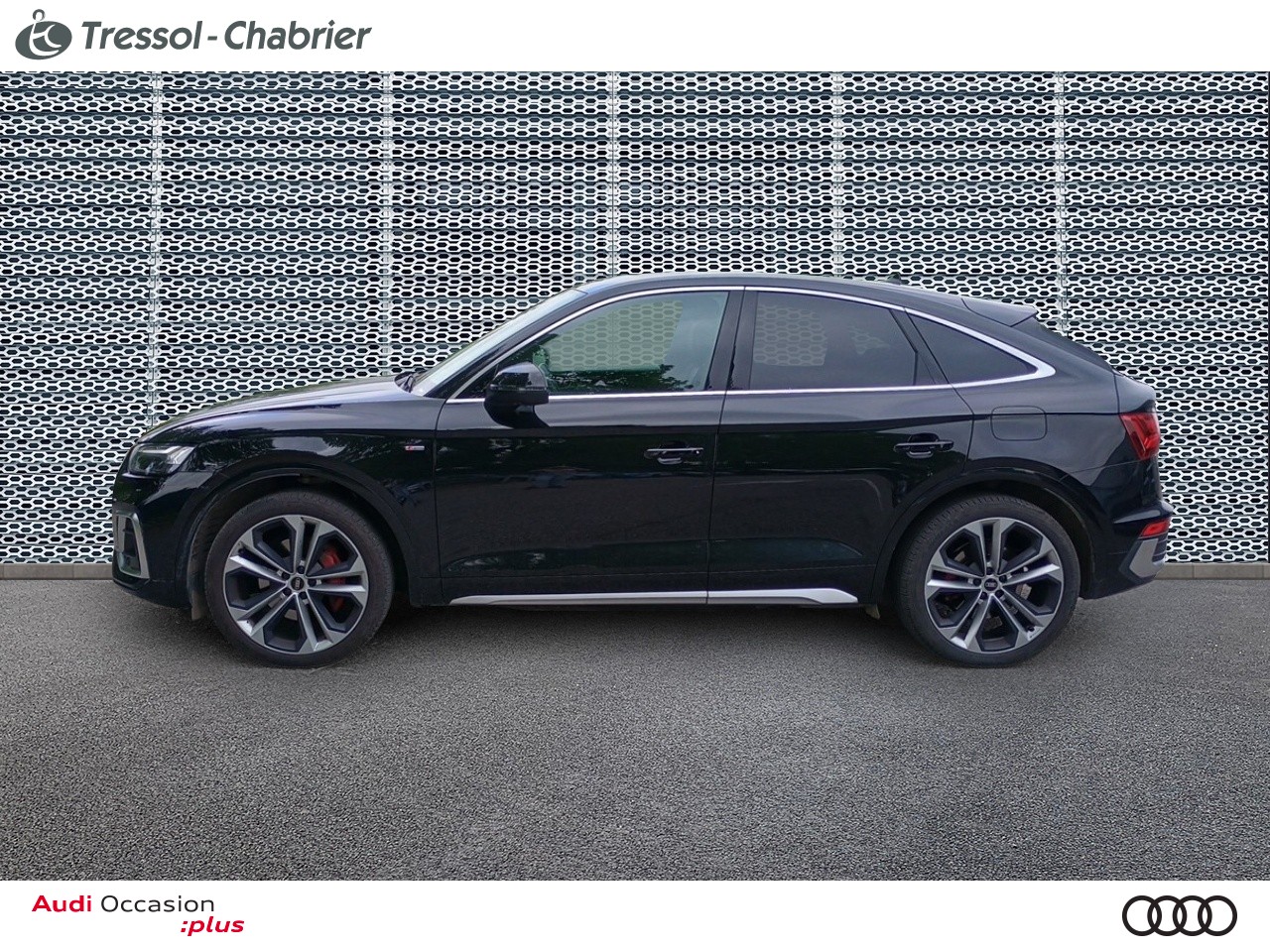 AUDI Q5+SPORTBACK PROFIL+GAUCHE