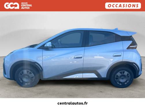 BYD DOLPHIN SURF