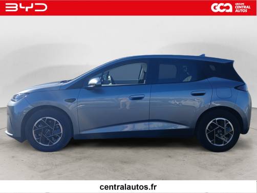 BYD DOLPHIN G