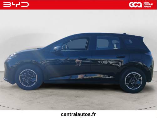 BYD DOLPHIN G