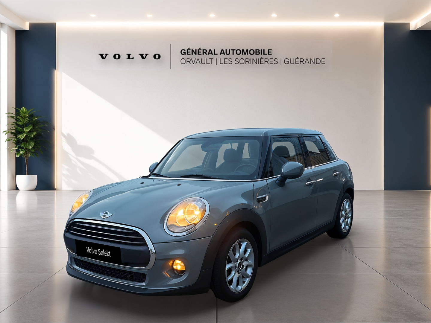MINI MINI